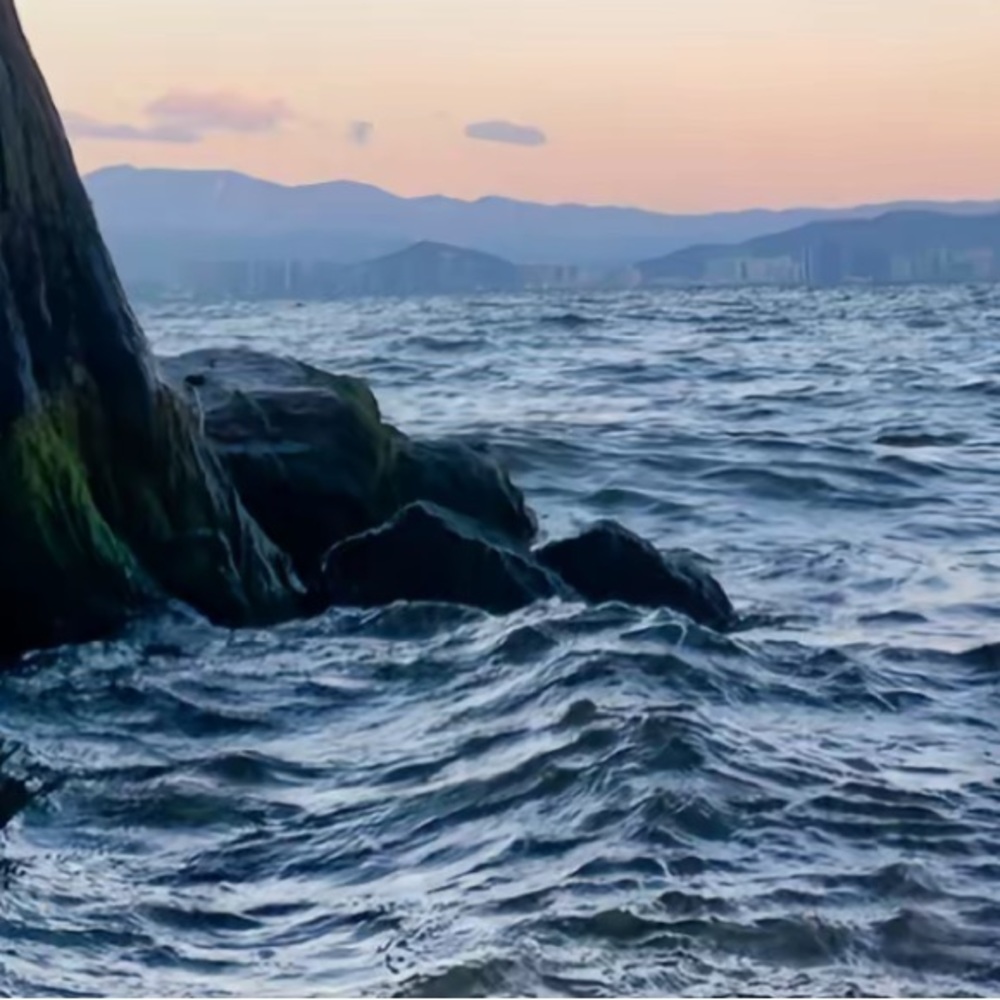 Meet your Posher, Adea